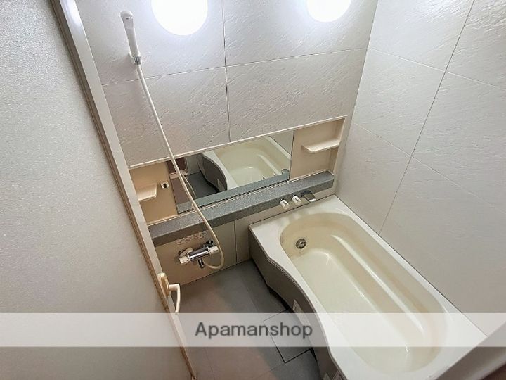 ロイヤルパークプレジデント502の風呂