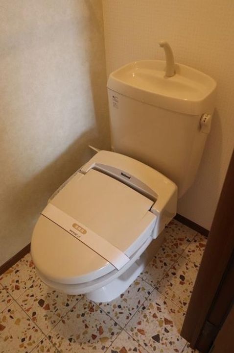 ウィルモアFのその他画像