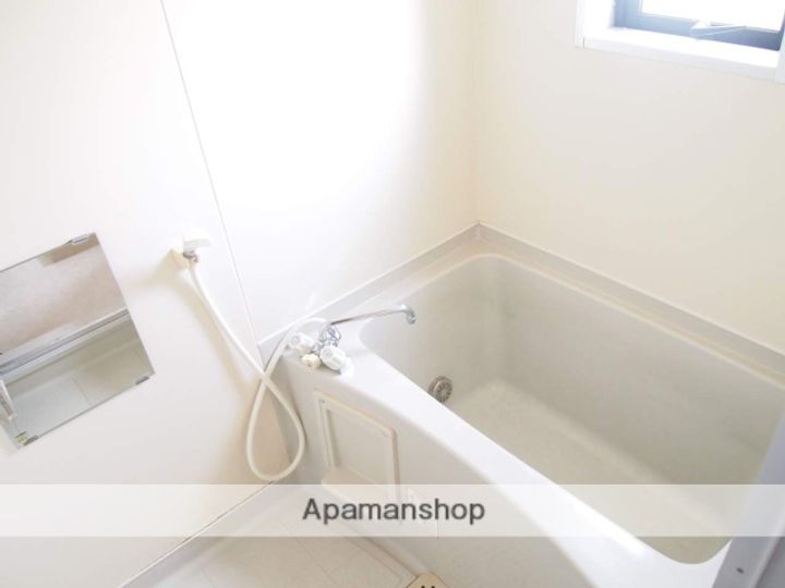 メゾンドリバー寺地302の風呂