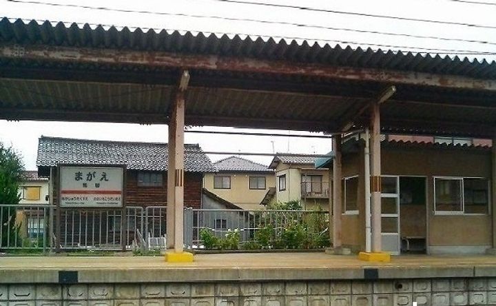 アベリアの周辺