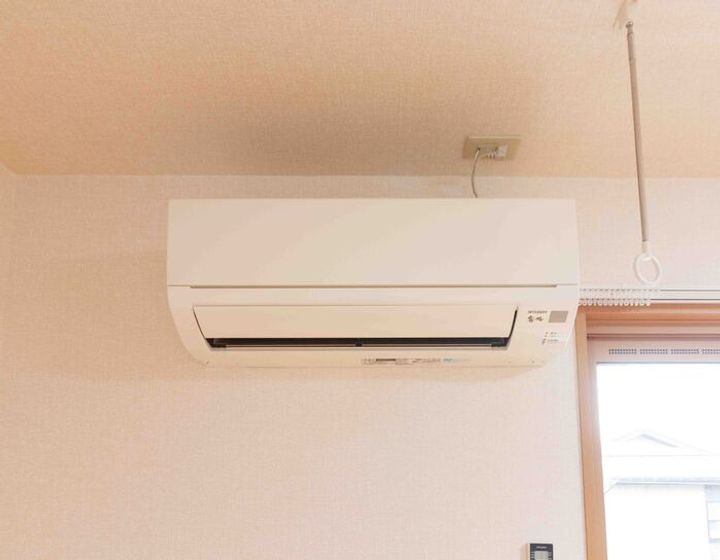 サンガのその他画像