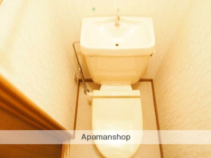 ロルフェ1Aのその他画像