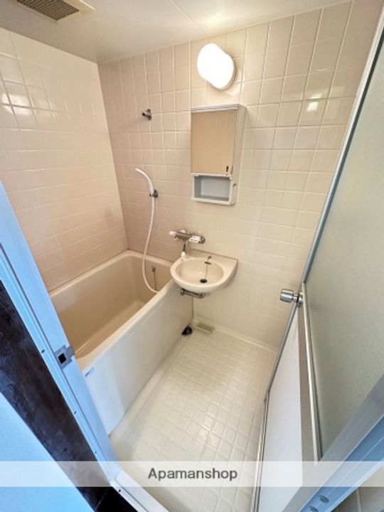 コーポラス21205の風呂