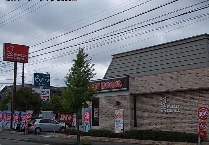 アベリアの周辺