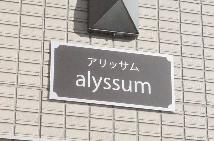 アリッサムの外観
