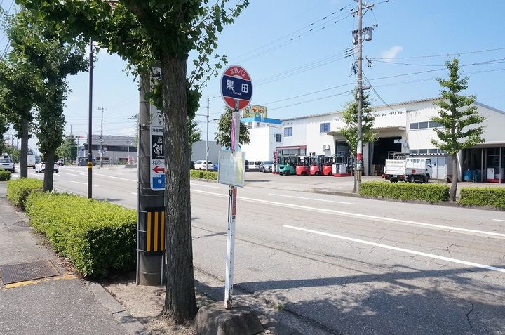 アリッサムの周辺