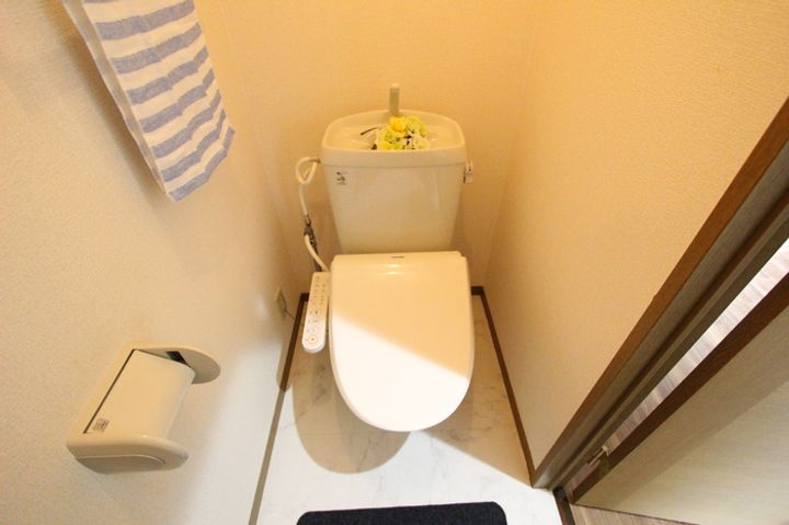 アンセスターY・Sのその他画像