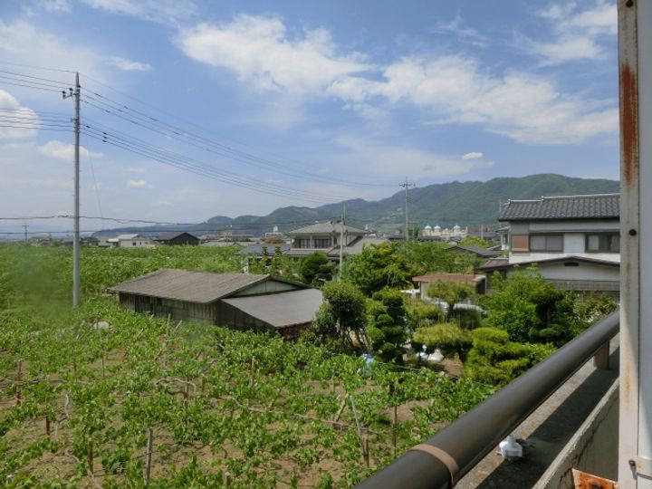 グレープファーム201号のその他画像