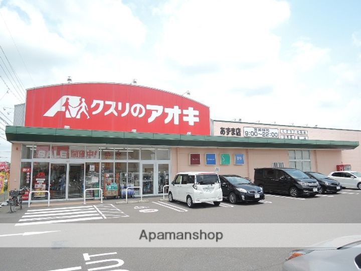 エースフラッツの周辺