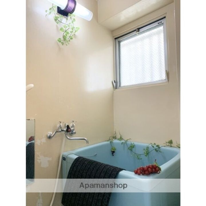 スカイハイツの風呂