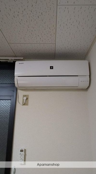 グレイトフル.M205のその他画像