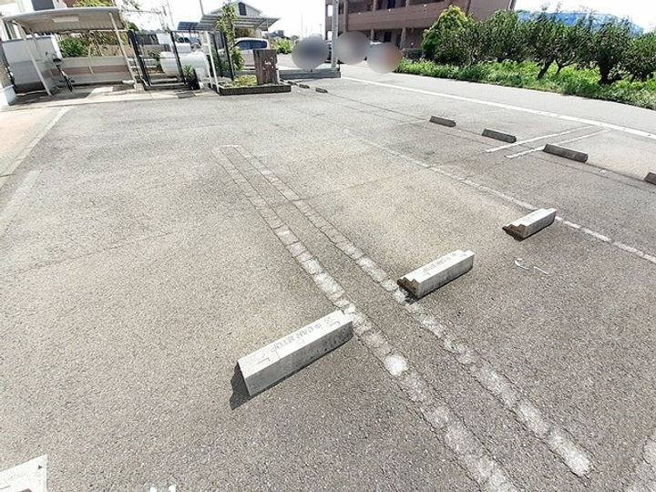 ソフトリーのその他画像