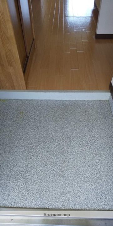 アーバンライフASAI206の玄関