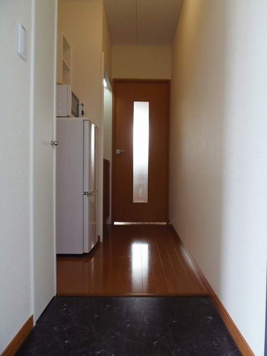 レオパレスグレイスコート202の玄関