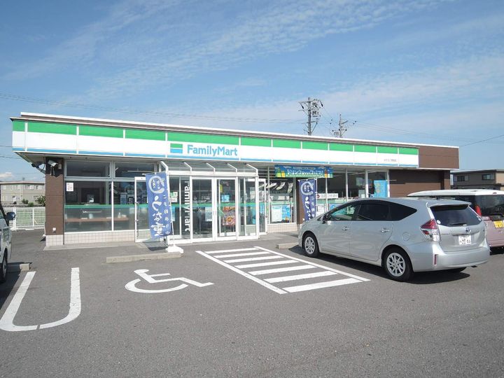 レオパレス大巻A101の周辺