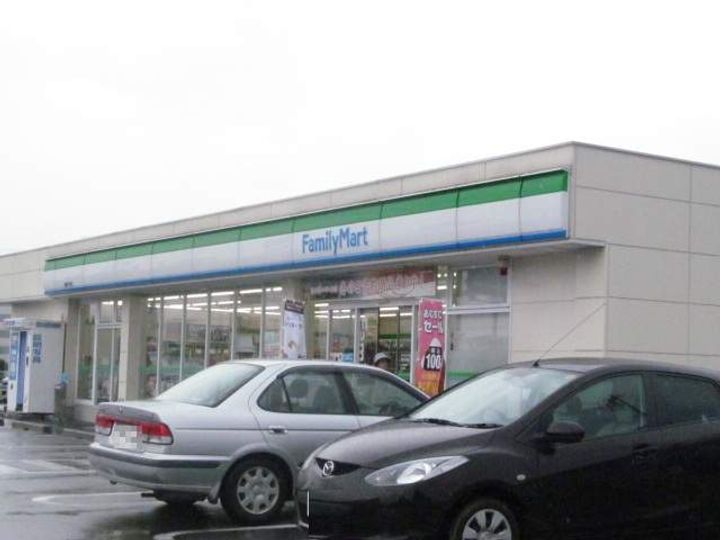 レオパレス大巻A101の周辺