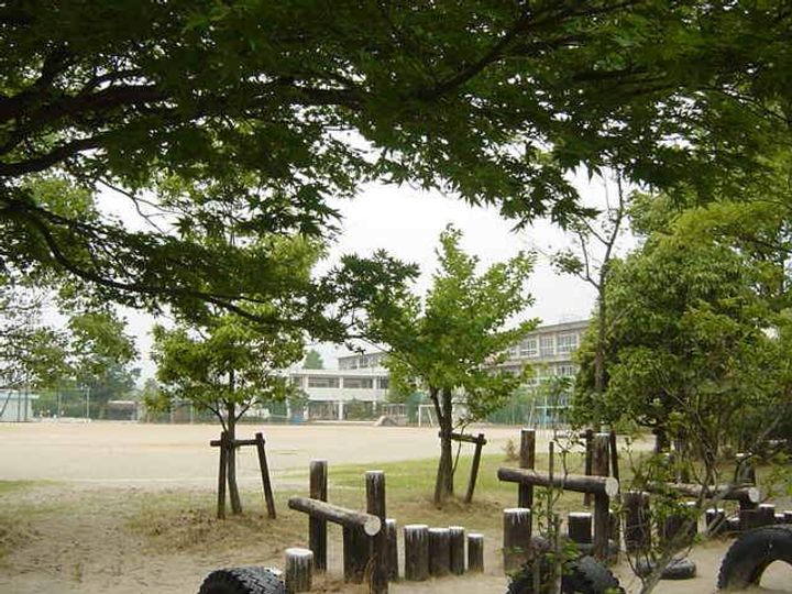 グレース・ワンの周辺