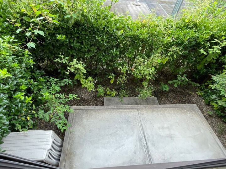 BELLE COURTの内装