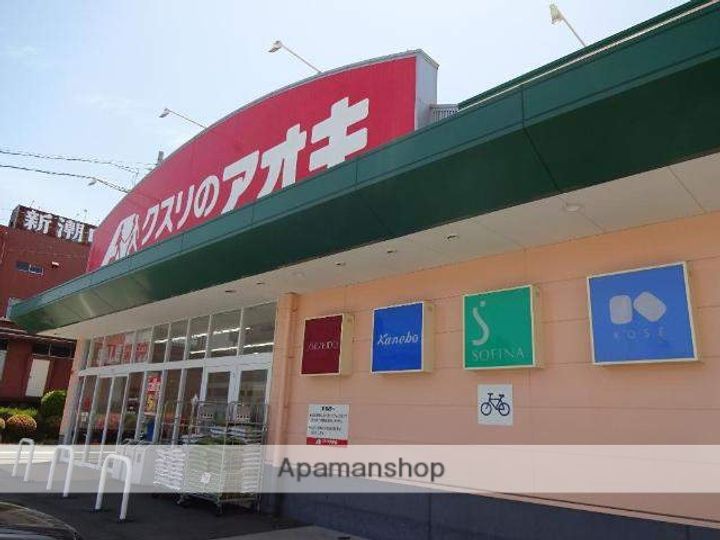 清流とそよ風のルヴァンⅡ101の周辺