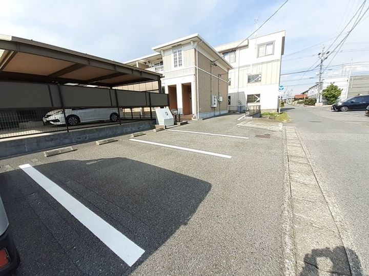 アネモネのその他画像