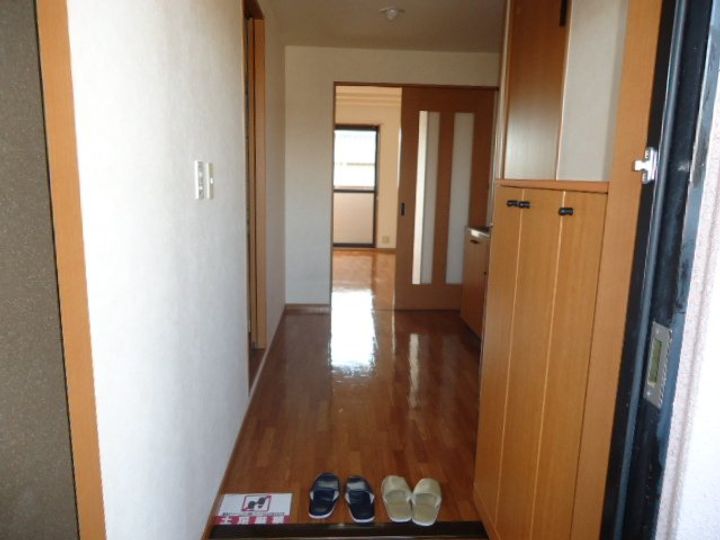 スタイリッシュ レジデンス202の玄関