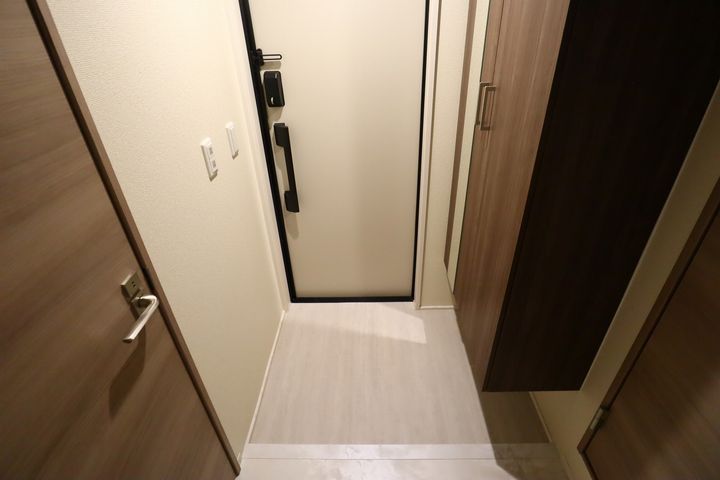 レセンテさくらIIの玄関