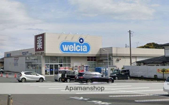 アルストロメリアの周辺