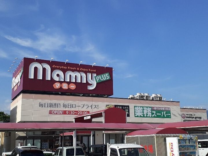 アーバングレイスⅨの周辺