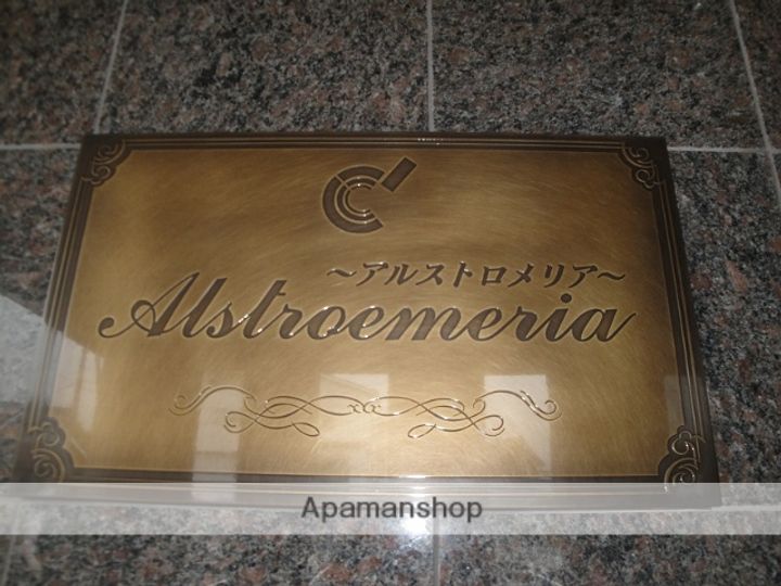 アルストロメリアのその他画像