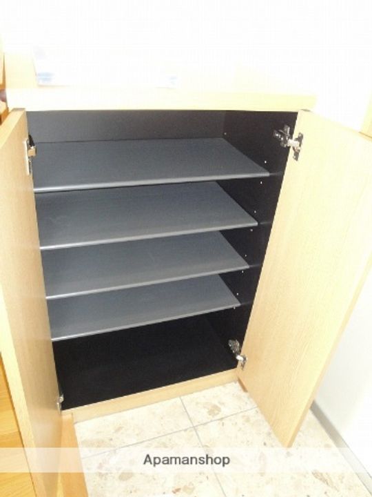 サニーヒルⅡ302の玄関