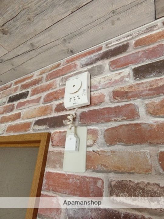 静岡県三島市大宮町3丁目の賃貸マンションの内装