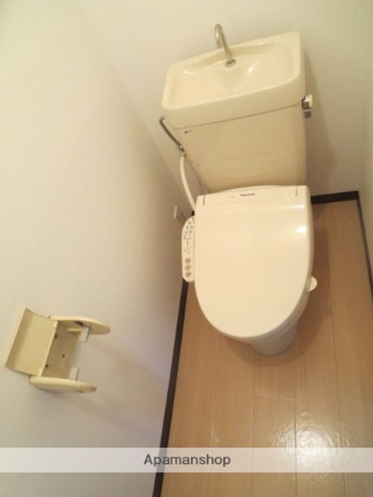 プレアデスのその他画像