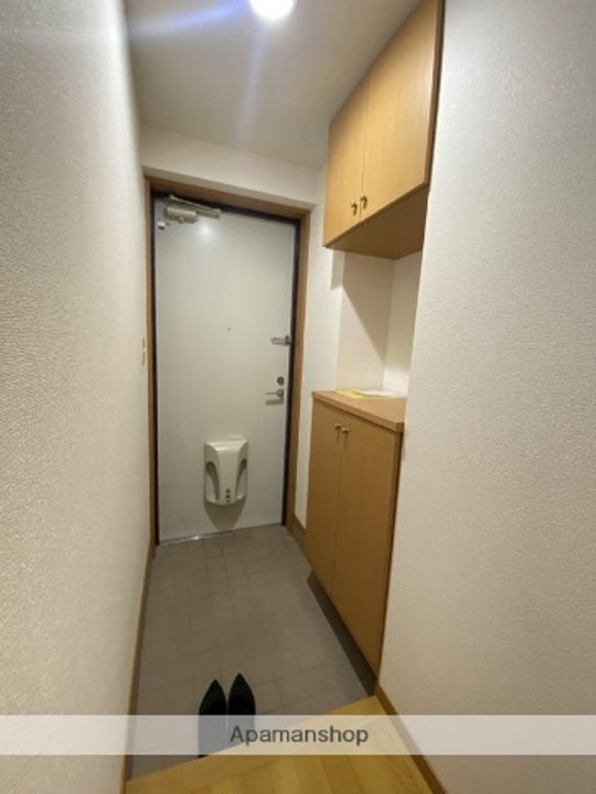 静岡県沼津市西添町の賃貸マンションの玄関