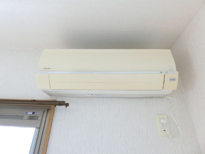 ベル・フラワーのその他画像