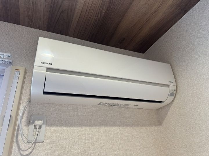 ララ・花いちのその他画像