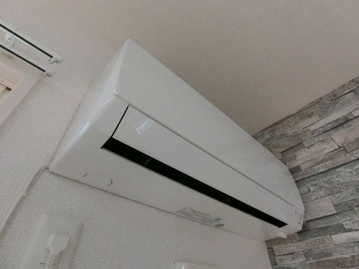 プリマヴェーラのその他画像