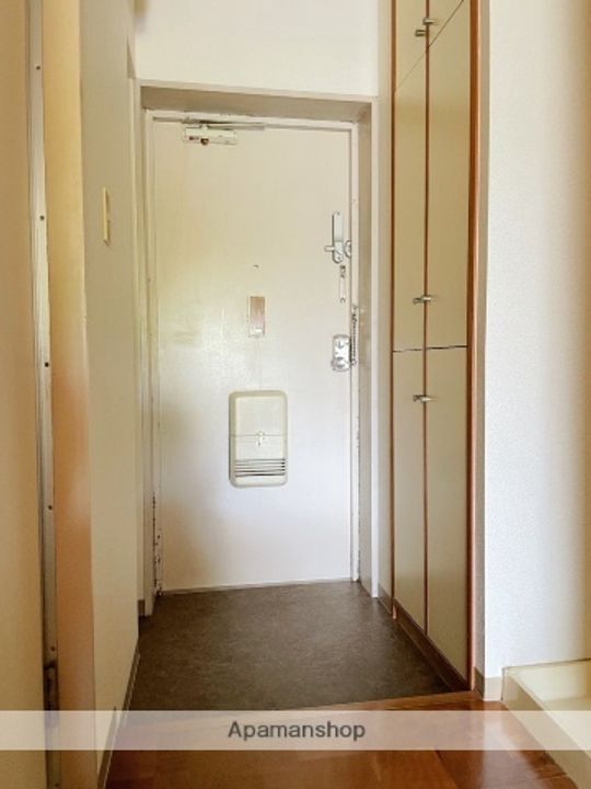 エクセル柏のその他画像