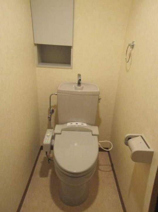 アルストロメリアのその他画像