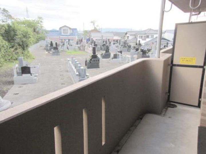 アルストロメリアのその他画像