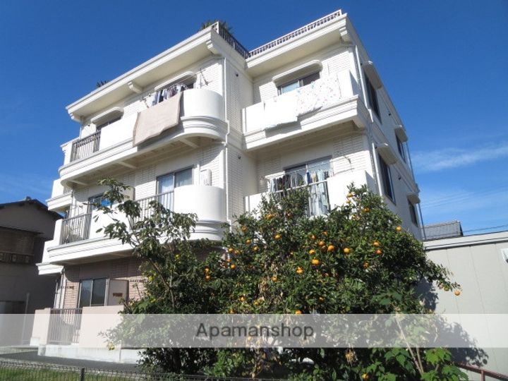 静岡県三島市平田の賃貸マンションの外観