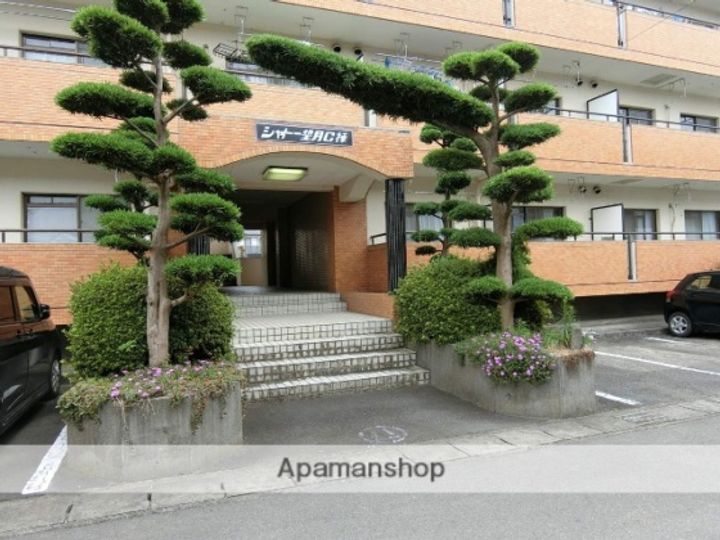 シャトー望月C棟の外観