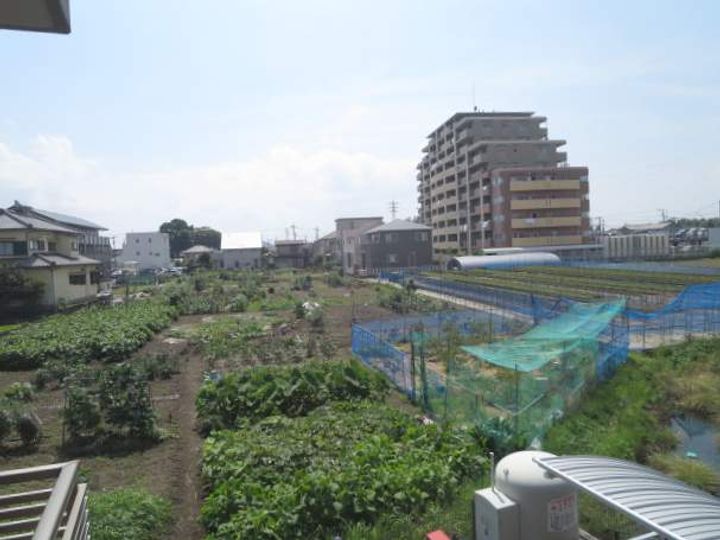 ペアーフィールドBのその他画像