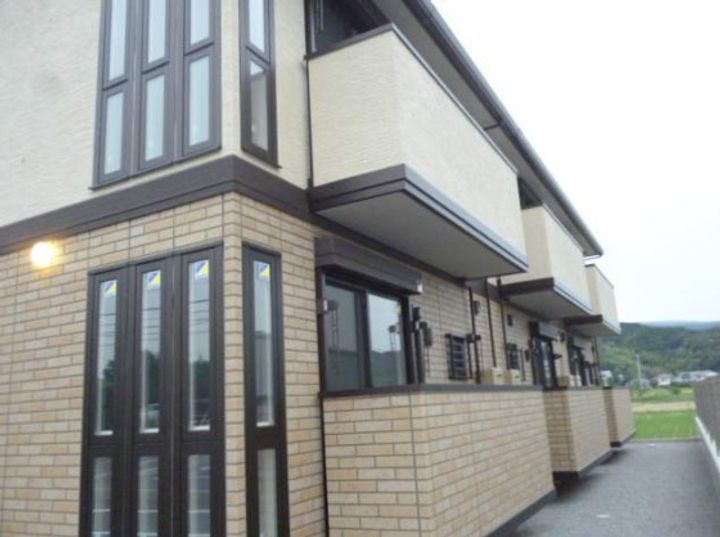 Lupinus(ルピナス)の外観