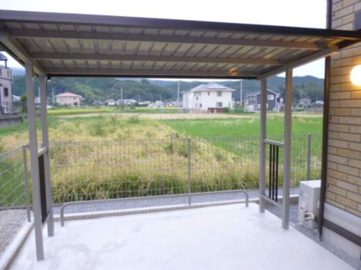 Lupinus(ルピナス)の外観