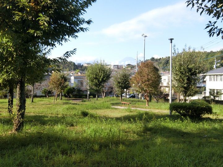 コーポ・ユリ・加茂の周辺