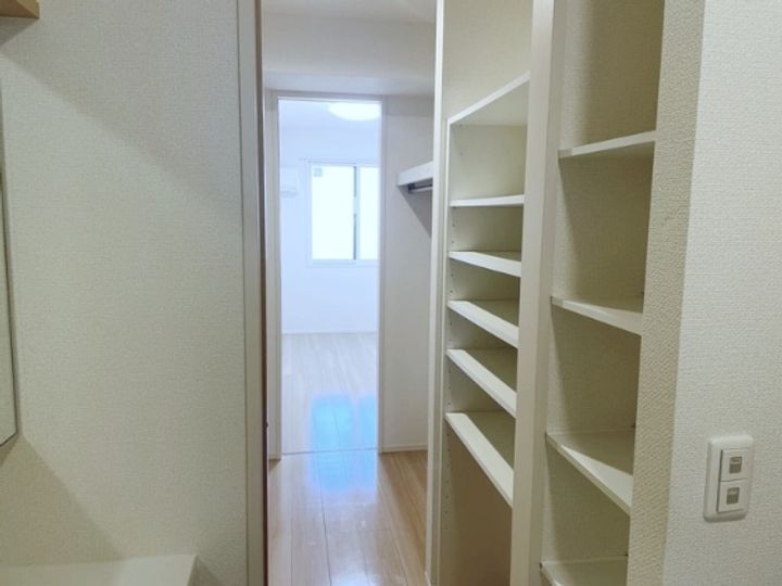 Lupinus(ルピナス)のその他画像