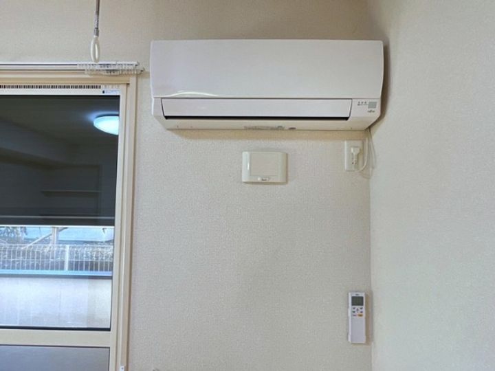 Lupinus(ルピナス)のその他画像