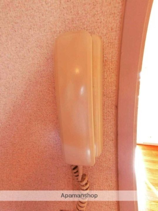 ストーンパレスⅡのその他画像