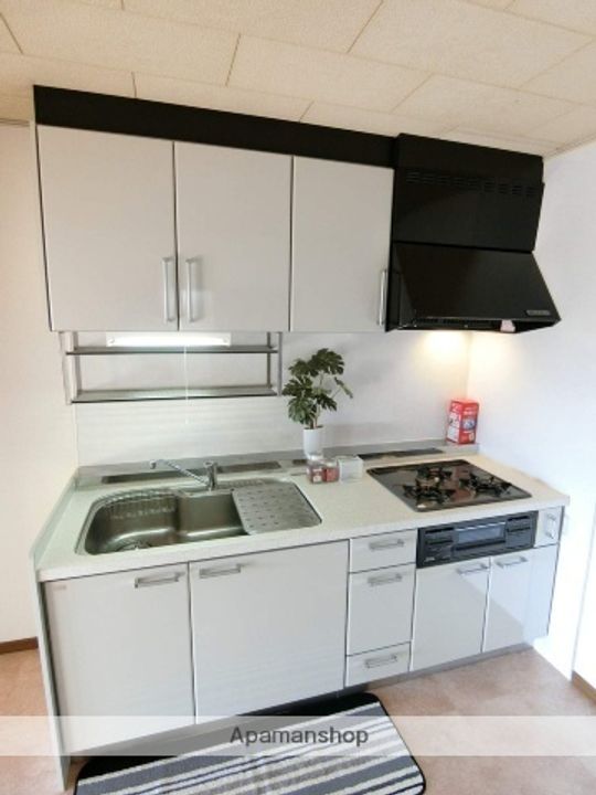 グレースのその他画像