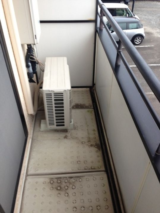 シャルマンSのその他画像